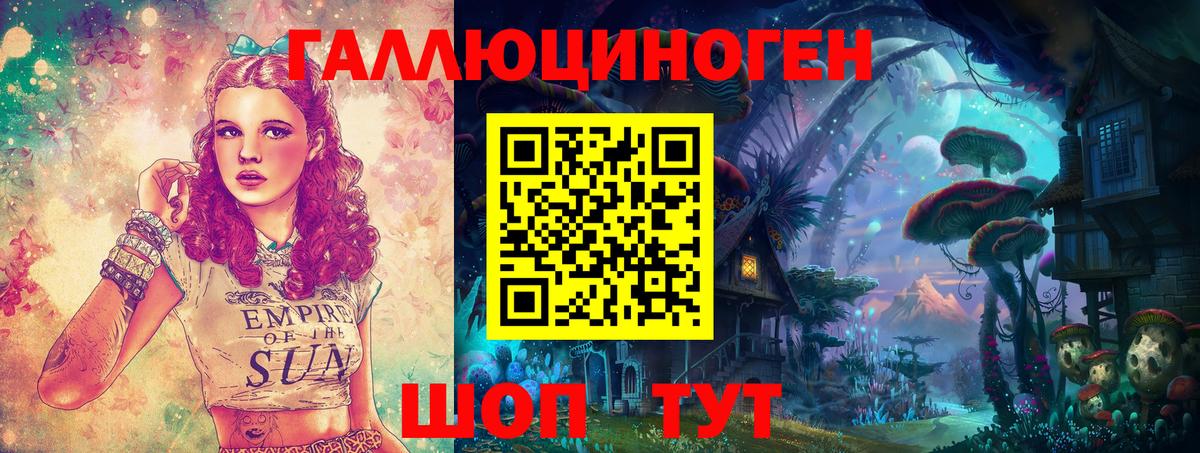 Галлюциногенные грибы Psilocybine cubensis Россия