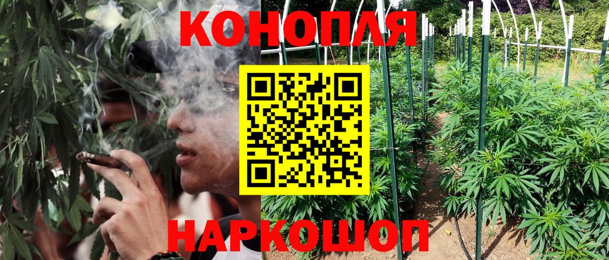 Бошки марихуана AK-47  Бошки Шишки сатива  Россия  Каннабис White Widow  Бошки марихуана план  Вход с VPN 